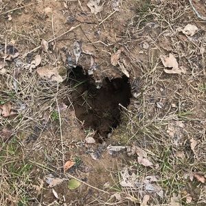 Meet your Posher, Kelli